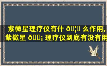 紫微星理疗仪有什 🦊 么作用,紫微星 🐡 理疗仪到底有没有用_贴图专区_论坛_天涯社区